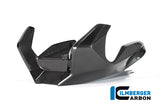 Ilmberger Carbon Fibre Bellypan For BMW R 1250 R 2019-22