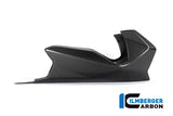 Ilmberger Carbon Fibre Bellypan For BMW R 1250 R 2019-22