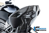 Ilmberger Carbon Fibre Seat Unit for BMW S1000RR 2019-22