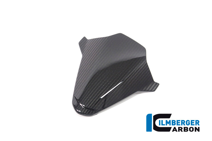 Ilmberger Carbon Fibre Instrument Cover for BMW M 1000 RR