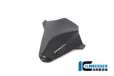 Ilmberger Carbon Fibre Instrument Cover for BMW M 1000 RR
