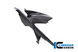 Ilmberger Carbon Fibre Rear Hugger with Upper Chainguard for BMW M 1000 RR