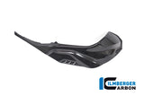 Ilmberger Carbon Fibre Right Tank Side Panel For BMW S 1000 R 2019-22