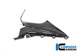 Ilmberger Carbon Fibre Left Badge Holder for BMW M 1000 RR