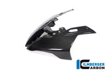Ilmberger Carbon Fibre Front Fairing for BMW M 1000 RR
