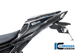 Ilmberger Carbon Fibre Single Seat Unit For BMW S 1000 R 2021-22