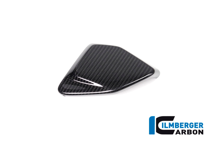 Ilmberger Carbon Fibre ESA Box Cover for BMW R 1250 GSA 2019-22