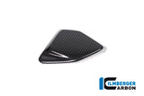 Ilmberger Carbon Fibre ESA Box Cover for BMW R 1250 GSA 2019-22