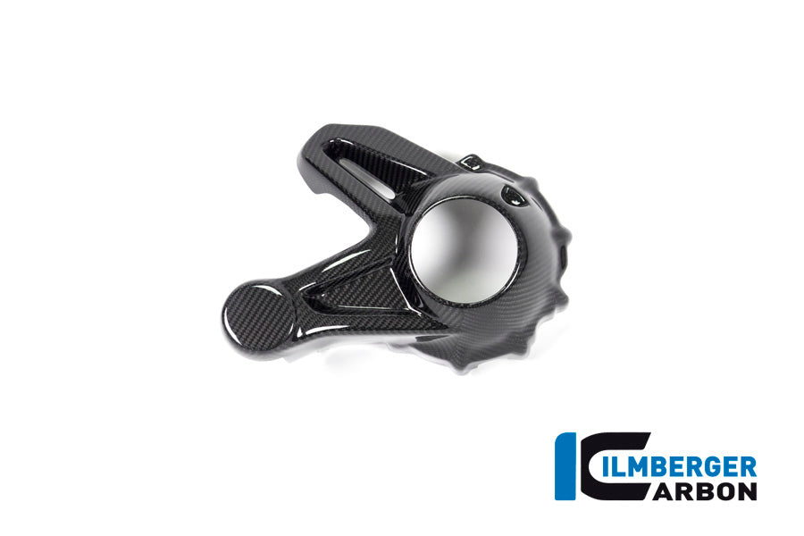 Ilmberger Carbon Fibre Bevel Drive Housing Protector For BMW R 1250 R 2019-22