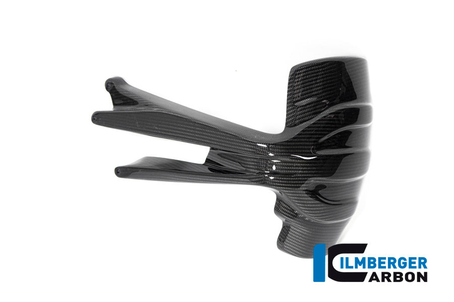 Ilmberger Carbon Fibre Rear Splash Guard For BMW R 1250 GSA 2019-22