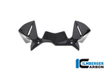 Ilmberger Carbon Fibre Windprotector For BMW R 1250 GS 2019-22