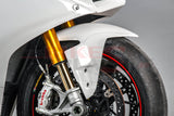 Bikesplast Full Race Fairing Kit for Ducati Panigale V4
