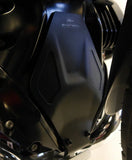 Evotech Performance Engine Guard for BMW R 1250 GS Adventure 2021-22