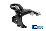 Ilmberger Carbon Fibre Left Airtube for BMW R 1200 GSA 2014-22
