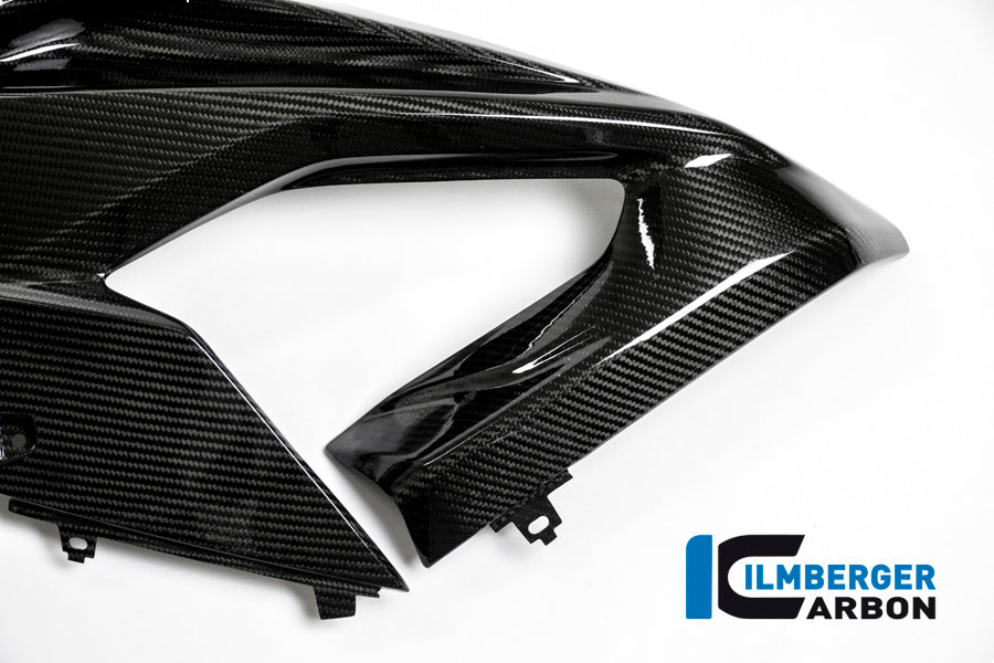 Ilmberger-Carbon Fiber Fairing Side Panel Left for BMW S1000RR 2017-2018