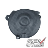RPM Carbon Fiber Engine Cover #5 For Ducati Streetfighter V4