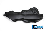Ilmberger Carbon Fibre Belt Cover For Ducati Monster 821