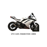 Austin Racing Slip-On Exhaust for Kawasaki Ninja 300